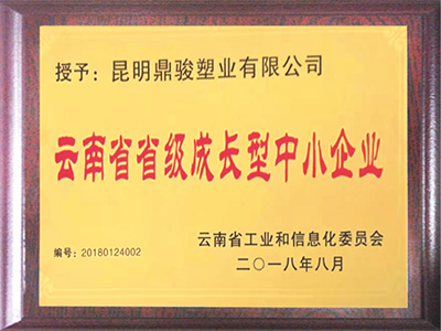 鼎駿-云南省省級(jí)成長(zhǎng)型中小企業(yè)