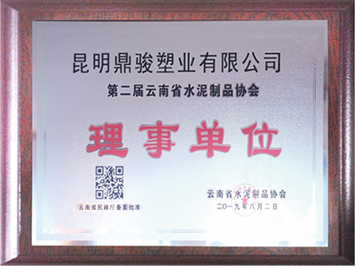 鼎駿-云南省水泥制品協(xié)會(huì)理事單位證書(shū)