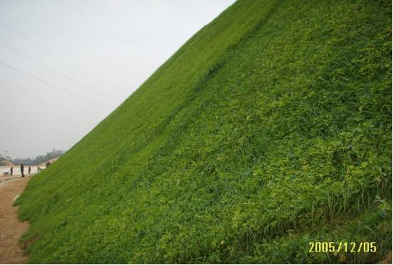 護(hù)坡工程1